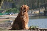 BRIARD 091
